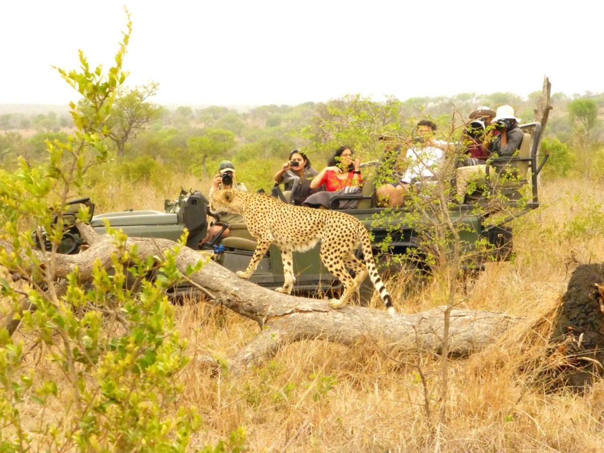 Umkumbe Safari Lodge Riverside Skukuza Buitenkant foto