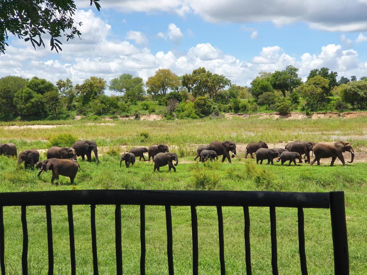 Umkumbe Safari Lodge Riverside Skukuza Buitenkant foto